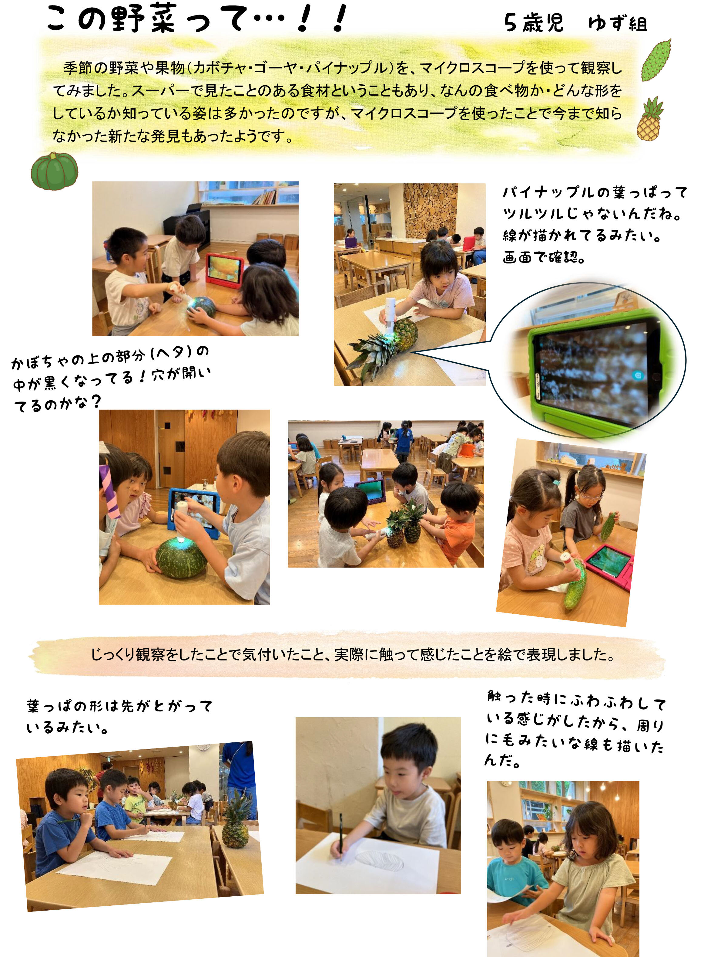 mk_5歳この野菜って_1.jpg